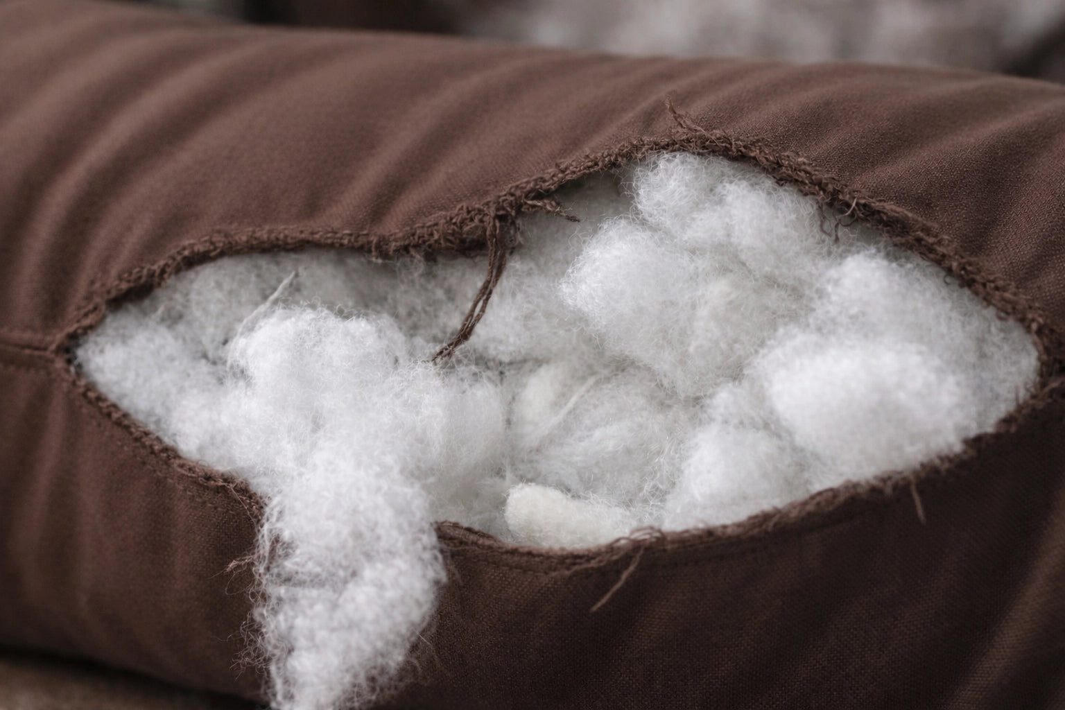 Dein Hundebett muss regelmäßig ersetzt werden.